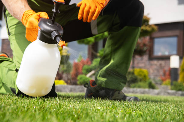 Best Pest Removal Services  in Bing, OR