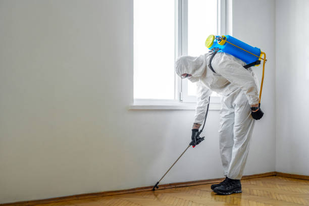 Wasp Removal Services in Boring, OR